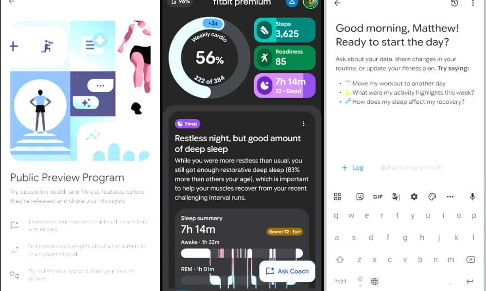 google fitbit