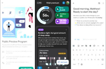 google fitbit