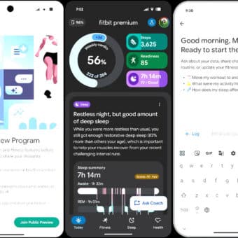 google fitbit