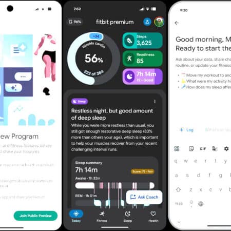 google fitbit