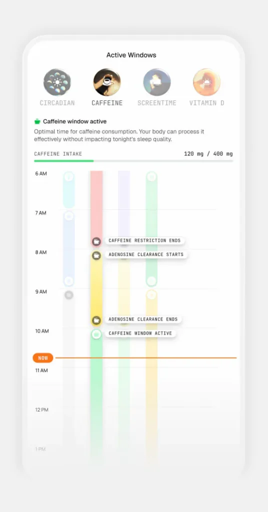 Application mobile de suivi des fenêtres actives de caféine.